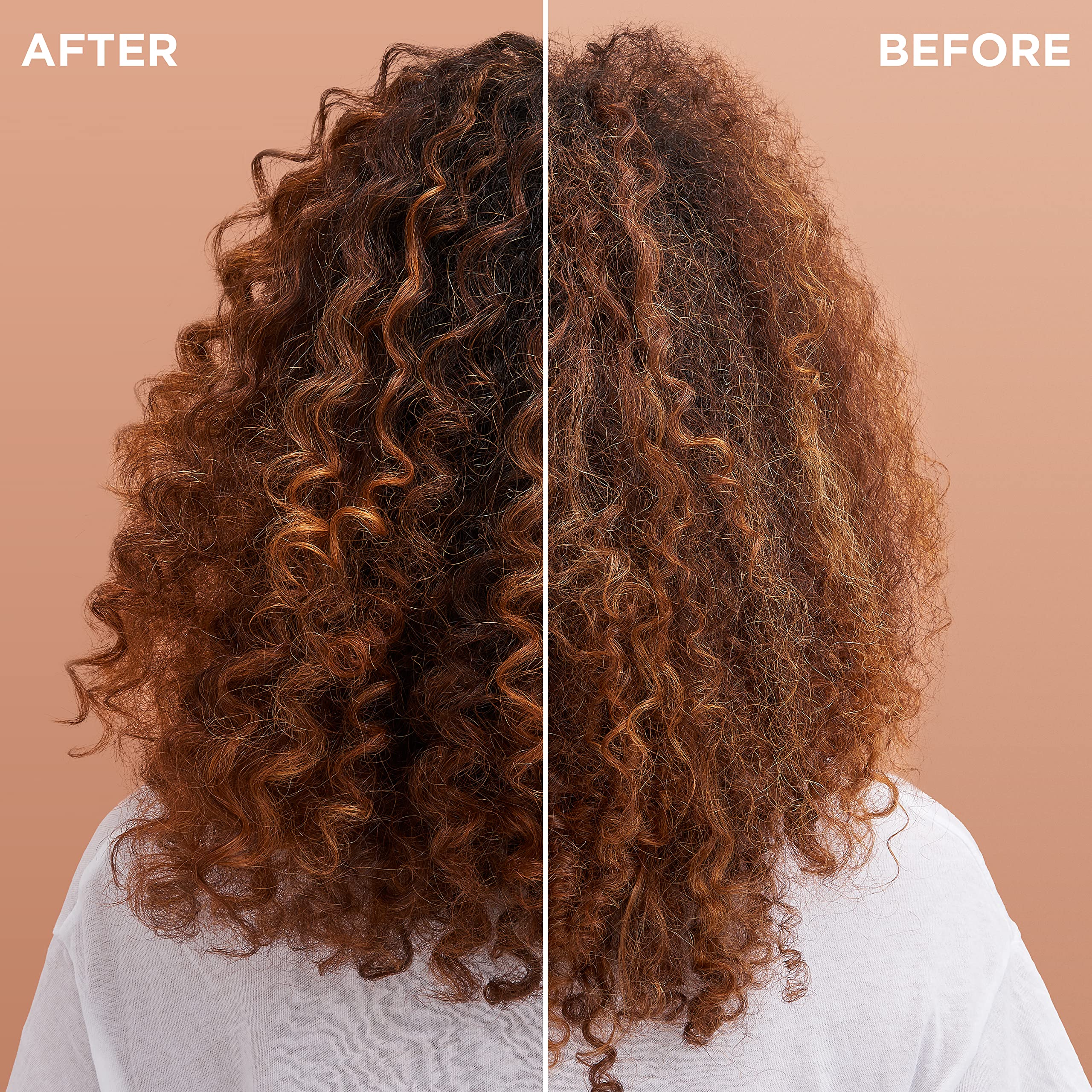 Garnier Hair Care Whole Blends Smoothing Hair Care Shampoo Set With Coconut Oil and Cocoa Butter Extracts, For Frizz Control, Paraben Free, 22 Fl Oz (2 Count)